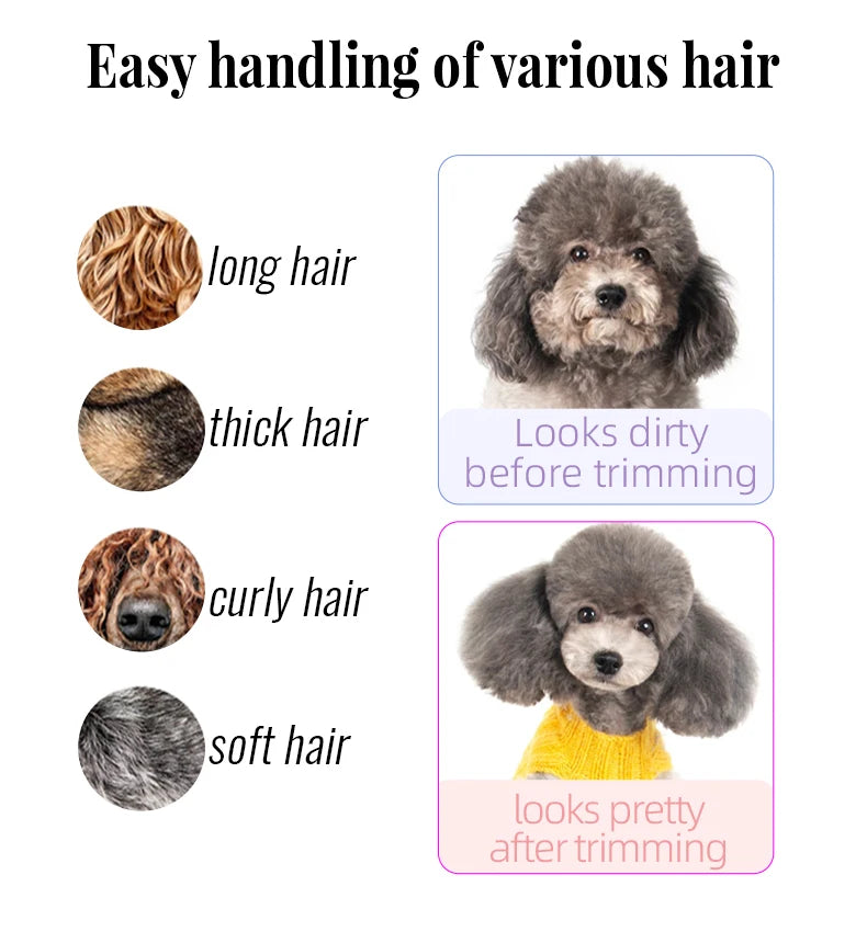 Fenice 6.5 Inch Professional Dog Grooming Scissors Set Kits Straight&Thinner&Curved Grooming Shears Tool Set tesoura wmark