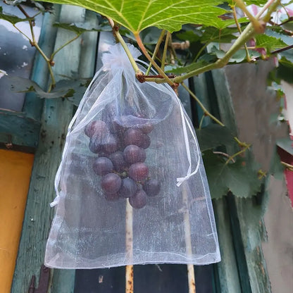 100pcs Grapes Fruit Grow Bags Netting Mesh Strawberry Vegetable Plant Protection Bags For Pest Control Anti-Bird Garden Tools