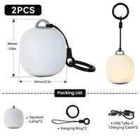 2 PCS