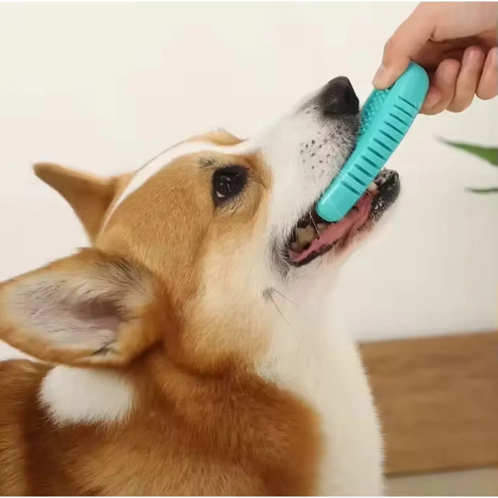 Dog Hollow Ball Toy Rubber Chew Toys for Dogs Cleaning Teeth Molar Bite Resistant Toy with Bell Puppy Training Game
