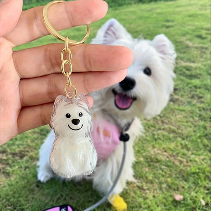 Dog Hair Storage Box Puppy Hair Memorial Keepsake Capsule Pet's Dog/Cat Fur Container Transparent Capsule Keychain Souvenirs