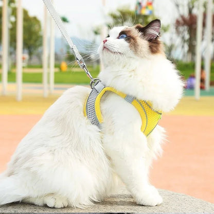 Soft mesh dog chest strap, suitable for training walks, adjustable dog vest, suitable for small and medium-sized dogs and cats