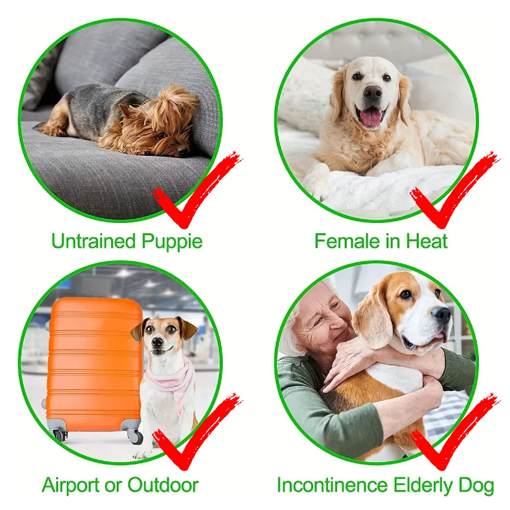 3Pcs Washable Female Dog Diapers Elastic Breathable Pet Nappies Reusable Pets Menstrual Period Panties For Small Medium Dogs Pug