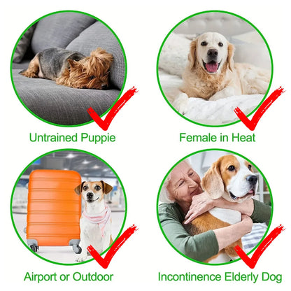 3Pcs Washable Female Dog Diapers Elastic Breathable Pet Nappies Reusable Pets Menstrual Period Panties For Small Medium Dogs Pug
