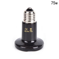 75W