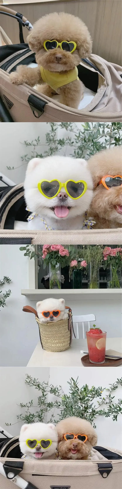 Love Pet Glasses Dog Cat Creative Fashion Sunglasses Sunglasses with Jewelry Cat Dog Love Glasses Pet Beauty Decoration Supplies