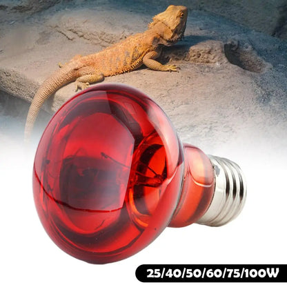 E27 Poultry Heating Bulb 25W-100W Infrared Insulation Heating For Reptiles Plants Amphibians Pets Livestock Lamp Tools