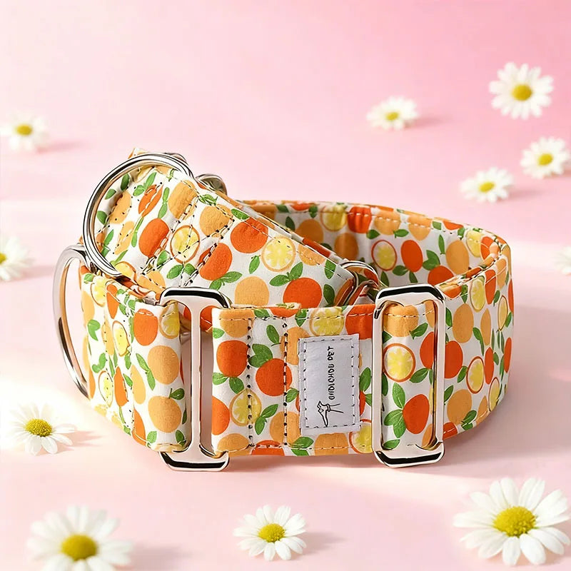 Martinagle Wide Adjustable Dog Collar, Soft Patterned Anti-Pull Collar for Medium-Sized Dogs, Suitable for Italian Greyhounds, Whippets, and Visual Hunting Dogs