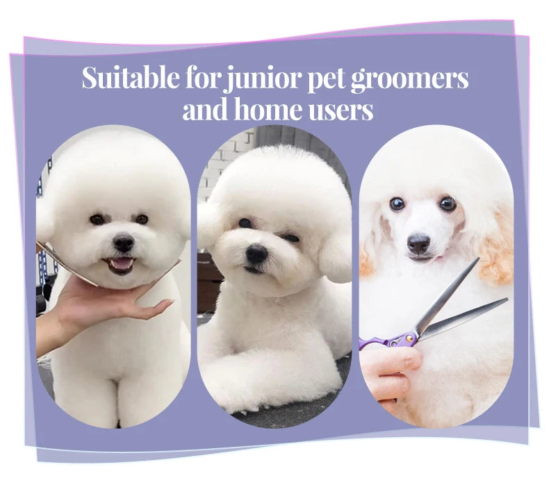 Fenice 6.5 Inch Professional Dog Grooming Scissors Set Kits Straight&Thinner&Curved Grooming Shears Tool Set tesoura wmark