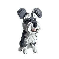 Schnauzer dog