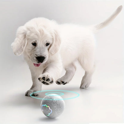 Smart Dog Toy Ball Electronic Interactive Pet Toy Ball USB Automatic Bouncing Rolling Toy Ball With RGB Lights Puppy Cat Product