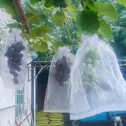 100pcs Grapes Fruit Grow Bags Netting Mesh Strawberry Vegetable Plant Protection Bags For Pest Control Anti-Bird Garden Tools