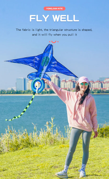 YongJian Plane Kites With Handle And Line Good Flying kites for kids ages 14+Outdoor Fun Sports kites