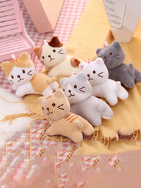 6pcs