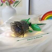 1 Transparent Black