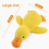 Large 1pc