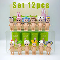 set 12pcs