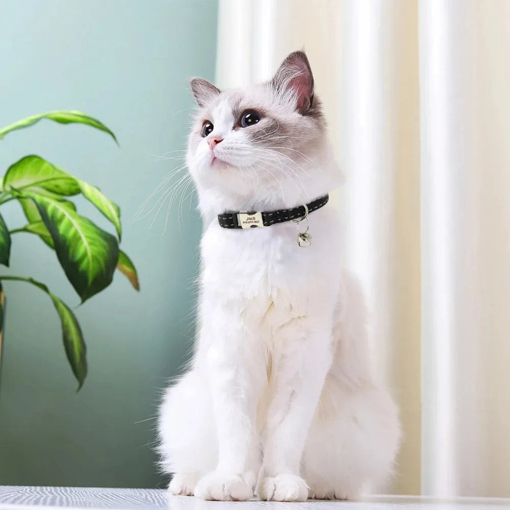 Personalized Name Cat Collar Reflective Nylon Dog Cats ID Collar With Bell Engraving Name for Small Cats Dogs Chihuahua 6 Colors