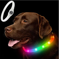 Colorful Collar