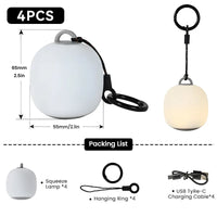 4 PCS