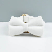 Bow Collar38