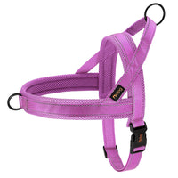049 Purple