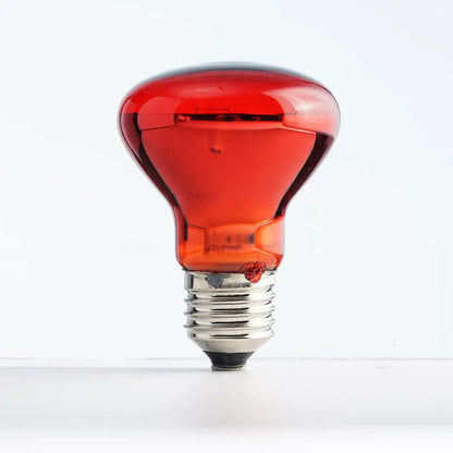 E27 Poultry Heating Bulb 25W-100W Infrared Insulation Heating For Reptiles Plants Amphibians Pets Livestock Lamp Tools