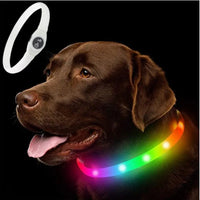 Colorful Collar