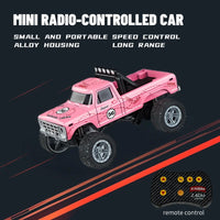 HB09 Pink