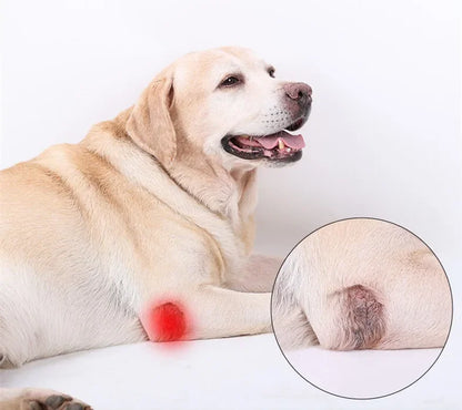 Updated Protects Bandage Dog Arthritis Protector Cover Dog Leg Support Dogs Hock Joint Brace Pet Knee Pads Dogs Injury Recovery
