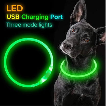 USB Charging Necklace Led Luminous Dog Collar Light , Flashing DIY Glowing Safety Anti Lost Cat Dogs Collar Accessories Supplies