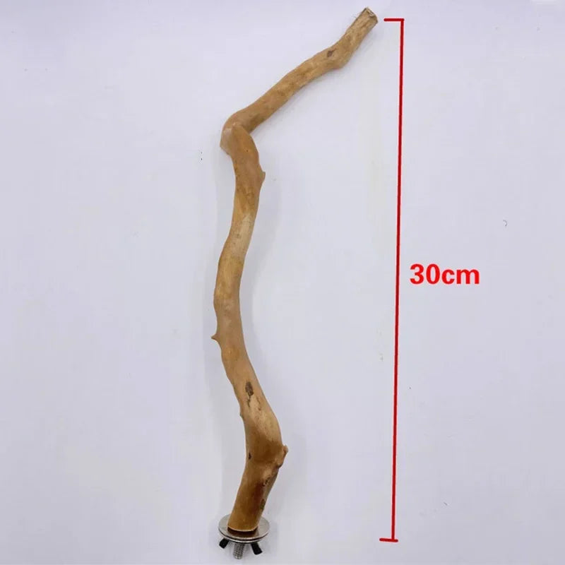 Pet Standing Stick Wild Grape Wood Pole Parrot Cockatiel Parakeet Station Board Bite Claw Grinding Toy Bird Cage Accessories
