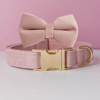 Bow Collar36