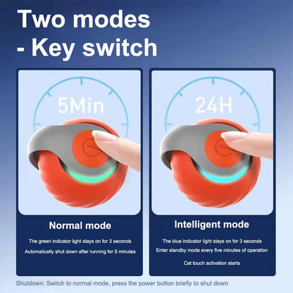 Speedy Tail 2.0 Cat Toys Generation Interactive Toy Ball For Cat 2 Speed Adjustment Automatic Moving Ball with Replacement Tail