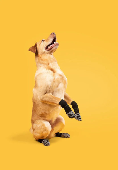 Outdoor Pet Dogs Breathable Socks Black Tie Anti-shedding Medium Large Dog Non-slip Socks Waterproof Dogs Shoes Pet Supplies