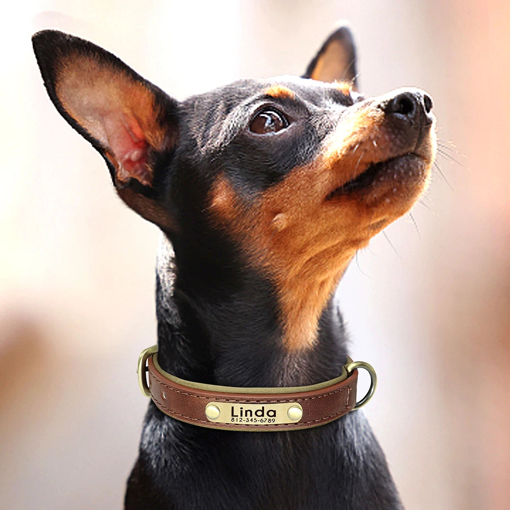 Personalized PU Leather Dog Collar Soft Padded Dog Collars Free Custom Pet ID Name Necklace for Small Medium Large Dogs Pitbull