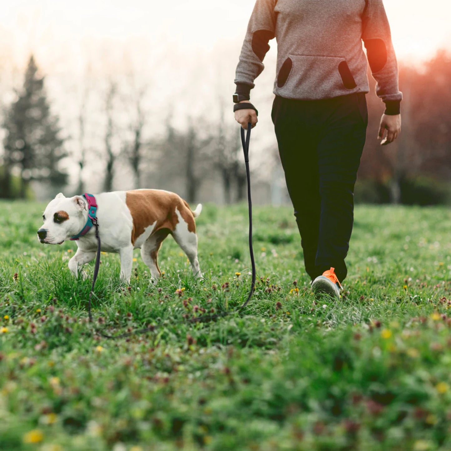 1.5M 5M 10M 15M Medium small Long Dog Leash 10M Latex Silk Easy and Convenient Training Big Dog Leashes