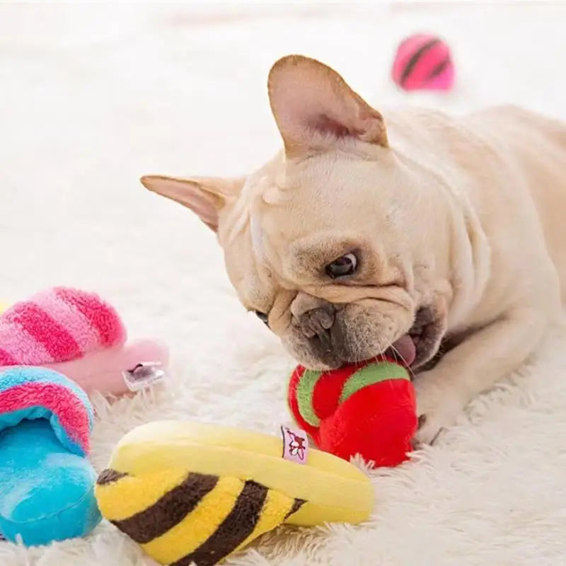 Pet Toys Squeaker Plush Slipper Shaped Puppy Dog Sound Chew Play Toys for Dog Cats Funny Dog Products Outdoor Training Toy