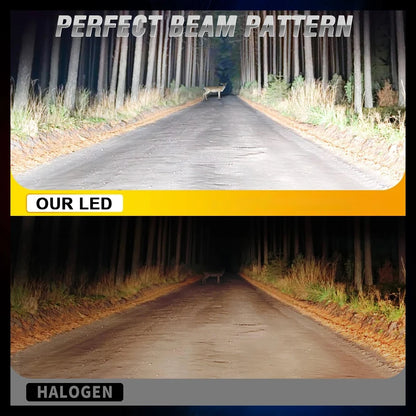 H1 LED Headlight Bulbs for Car Canbus High Power Auto Lights 800000LM 1000W Mini Size Focus Automobile Headlamp Fog Lamp 12V 24V