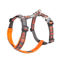 ORANGE Reflective