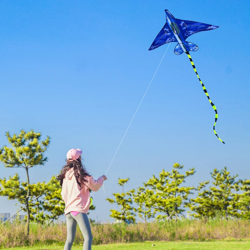 YongJian Plane Kites With Handle And Line Good Flying kites for kids ages 14+Outdoor Fun Sports kites