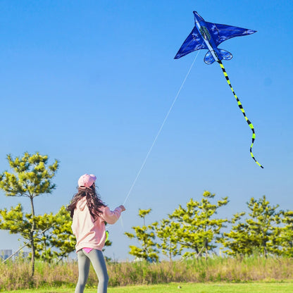 YongJian Plane Kites With Handle And Line Good Flying kites for kids ages 14+Outdoor Fun Sports kites