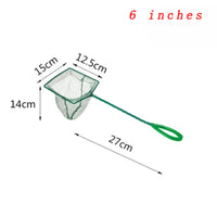 6 inch