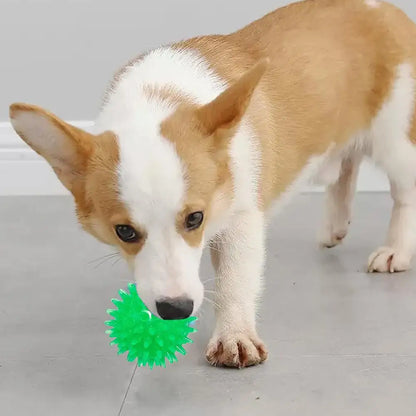 Pet Dog Toys Cat Puppy Sounding Toy Polka Squeaky Tooth Cleaning Ball TPR Training Teeth Chewing Toy Thorn Balls Pet Accessories