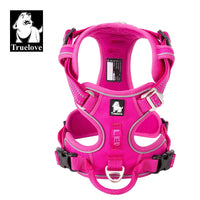 FUCHSIA-TLH56512