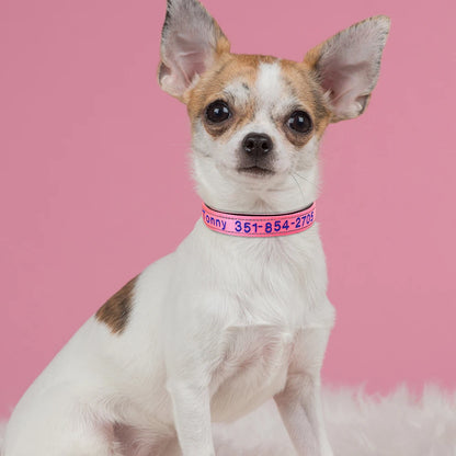 Embroidered Nylon Dog Collar Personalized Puppy Cat Collars Reflective Pet ID Collars DIY Phone Name ID For Small Large Dog Cat