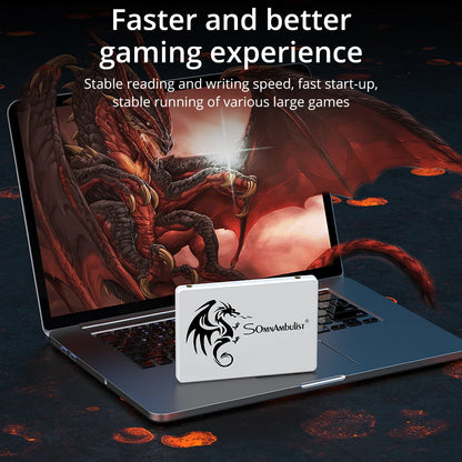 SomnAmbulist SSD 2.5 64GB 128GB 256GB 512GB for Laptop Desktop Solid State Drive Sata3 120GB 240GB 480GB