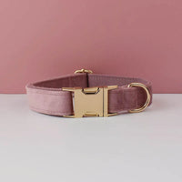 Dog collar05