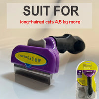 (M)Long hair cats