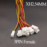 3P Female
